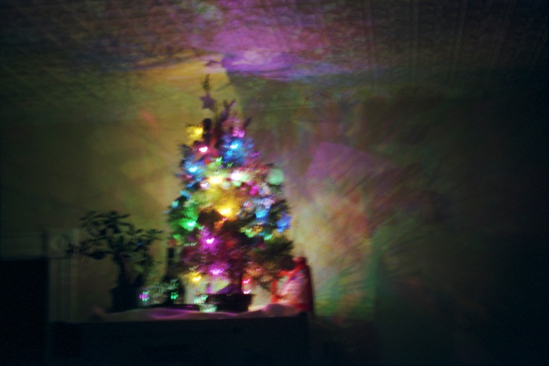 Art and Documentary Photography - Loading Christmas Tree print_1.jpg