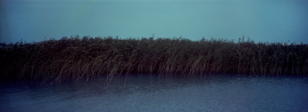 Art and Documentary Photography - Loading PolygonFamily06.JPG