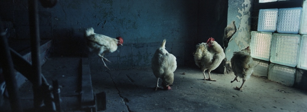 Art and Documentary Photography - Loading PolygonFamily15.JPG