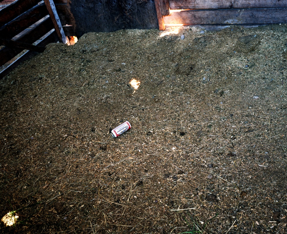 Art and Documentary Photography - Loading shimoda_02.JPG