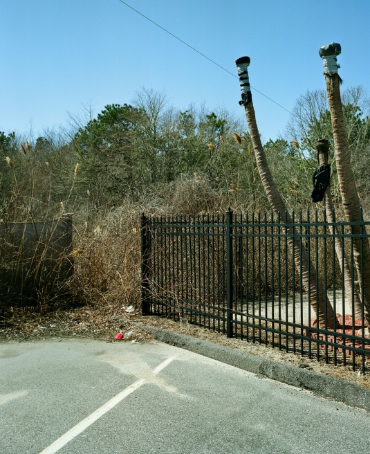 Art and Documentary Photography - Loading shimoda_15.jpg