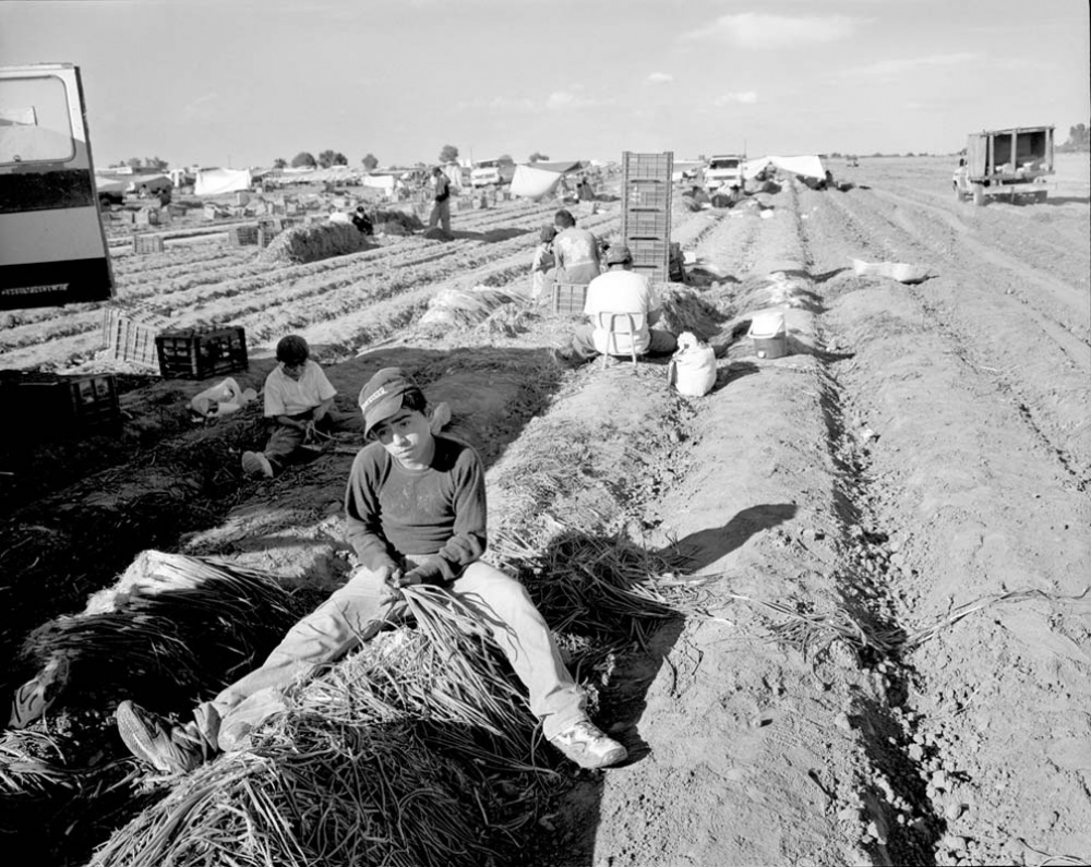 Art and Documentary Photography - Loading 2001_Ceballero.jpg