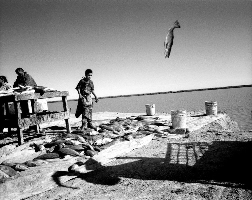 Art and Documentary Photography - Loading 20020324_FlyingFish.jpg